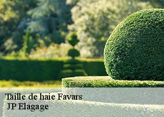 Taille de haie favars-19330 JP Elagage