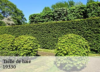 Taille de haie 19330