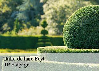 Taille de haie  feyt-19340  JP Elagage