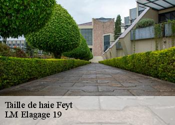 Taille de haie 19340