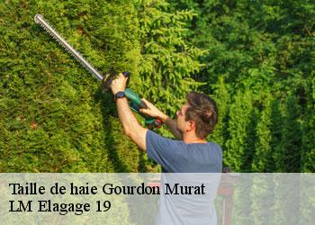 Taille de haie gourdon-murat-19170 LM Elagage 19