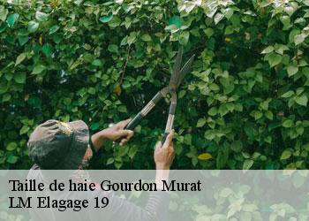 Taille de haie 19170