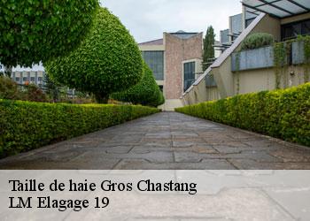 Taille de haie 19320
