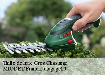 Taille de haie  gros-chastang-19320 MIODET Franck, elagage19