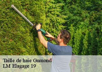 Taille de haie gumond-19320 LM Elagage 19