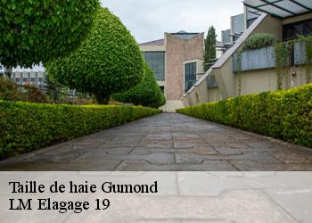 Taille de haie 19320