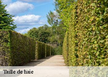 Taille de haie 19320
