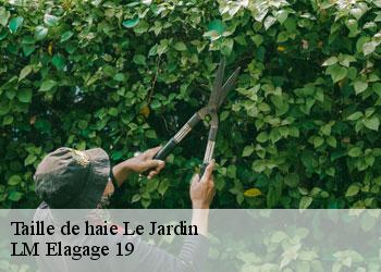 Taille de haie  19300