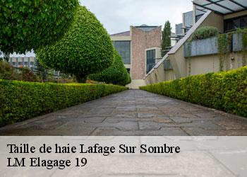 Taille de haie 19320