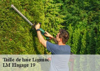 Taille de haie liginiac-19160 LM Elagage 19