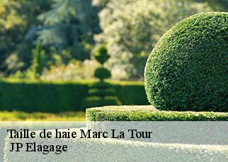 Taille de haie marc-la-tour-19150 JP Elagage