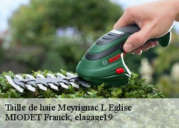Taille de haie  meyrignac-l-eglise-19800 MIODET Franck, elagage19