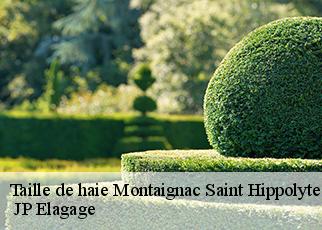 Taille de haie montaignac-saint-hippolyte-19300 JP Elagage