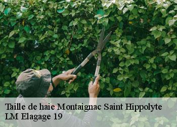 Taille de haie 19300