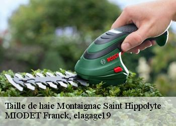 Taille de haie  montaignac-saint-hippolyte-19300 MIODET Franck, elagage19