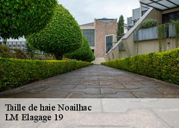 Taille de haie  19500