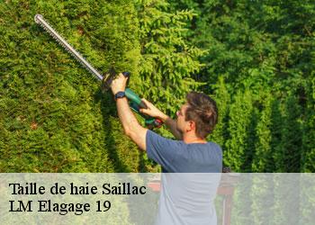Taille de haie saillac-19500 LM Elagage 19