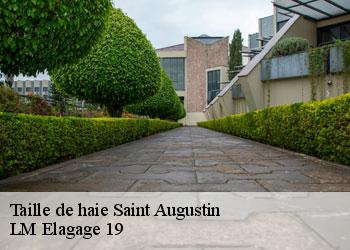 Taille de haie 19390