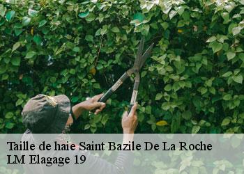 Taille de haie 19320