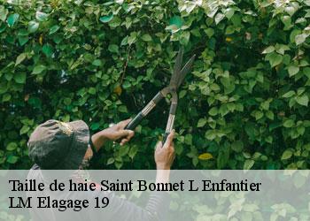 Taille de haie 19410