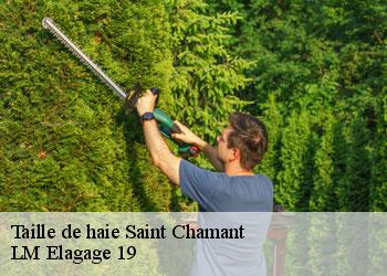 Taille de haie saint-chamant-19380 LM Elagage 19