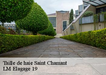 Taille de haie 19380
