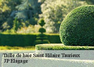 Taille de haie saint-hilaire-taurieux-19400 JP Elagage