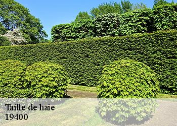Taille de haie 19400