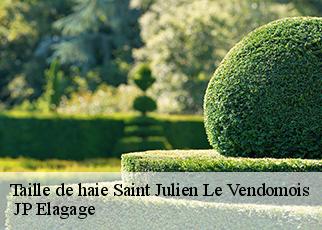 Taille de haie saint-julien-le-vendomois-19210 JP Elagage