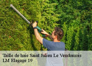 Taille de haie saint-julien-le-vendomois-19210 LM Elagage 19
