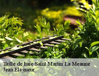 Taille de haie saint-martin-la-meanne-19320 Jean Elagueur