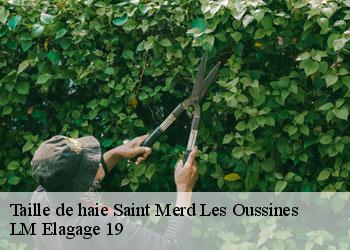 Taille de haie  19170