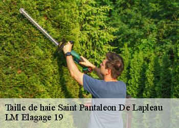 Taille de haie saint-pantaleon-de-lapleau-19160 LM Elagage 19