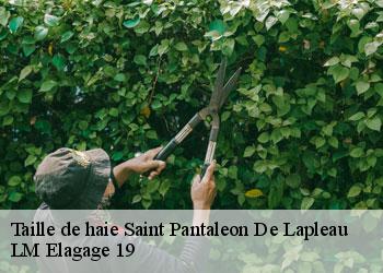 Taille de haie 19160