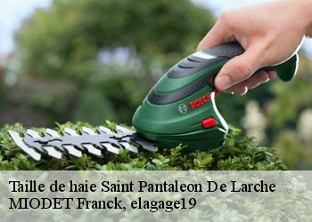 Taille de haie  saint-pantaleon-de-larche-19600 MIODET Franck, elagage19