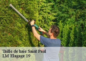 Taille de haie saint-paul-19150 LM Elagage 19