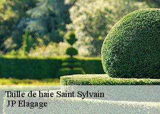 Taille de haie saint-sylvain-19380 JP Elagage