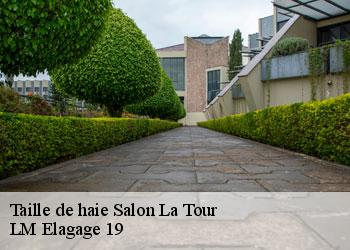 Taille de haie  19510