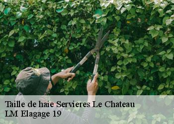 Taille de haie  19220