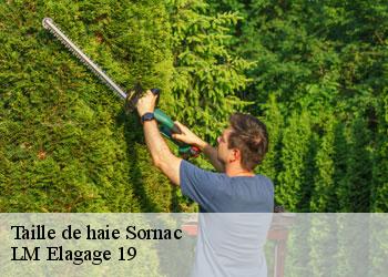 Taille de haie  sornac-19290 LM Elagage 19
