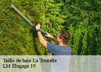 Taille de haie la-tourette-19200 LM Elagage 19