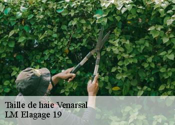 Taille de haie 19360