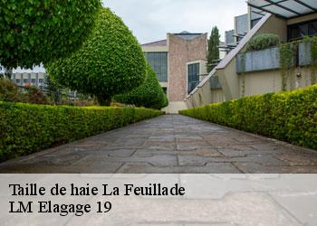 Taille de haie  19600