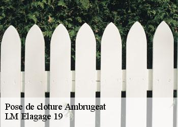 Pose de cloture ambrugeat-19250 LM Elagage 19
