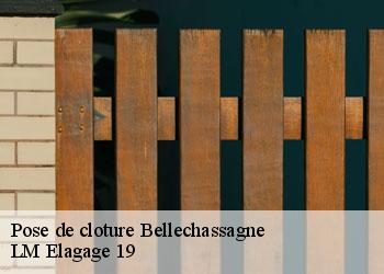 Pose de cloture 19290