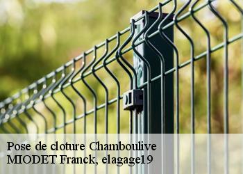 Pose de cloture  chamboulive-19450 MIODET Franck, elagage19