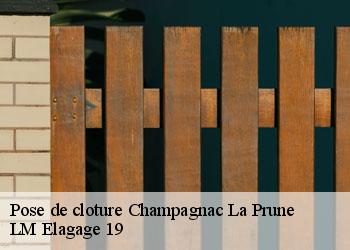 Pose de cloture 19320