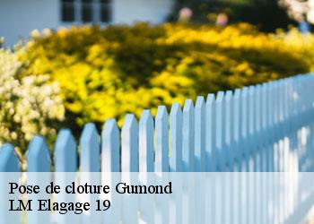 Pose de cloture  19320