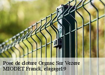Pose de cloture  orgnac-sur-vezere-19410 MIODET Franck, elagage19