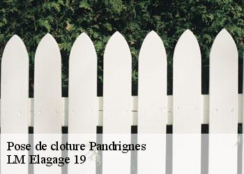 Pose de cloture pandrignes-19150 LM Elagage 19